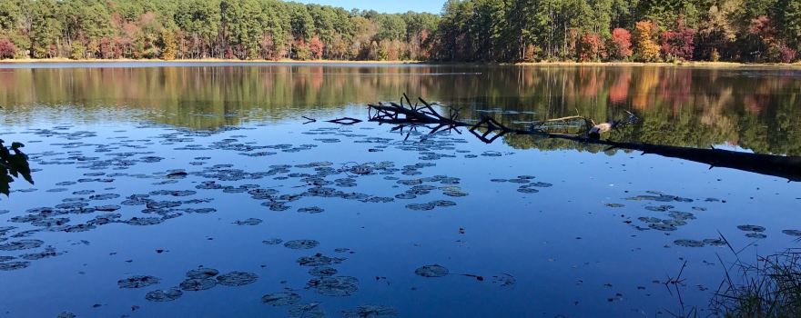 Daingerfield State Park
