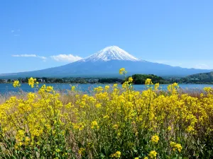Oishi Park
