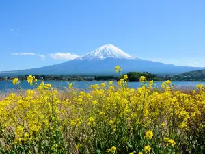 Oishi Park