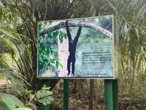 Lawachara National Park