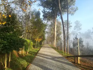 Ecological park Serra da Lousã