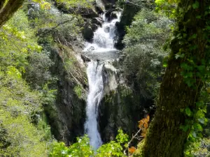 Devil's Bridge Waterfalls
