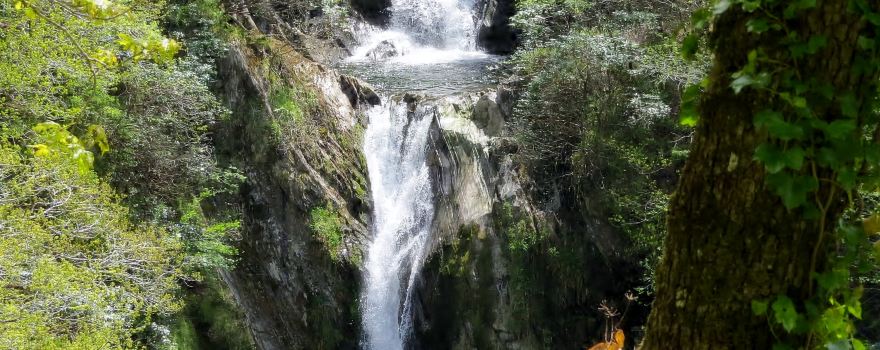 Devil's Bridge Waterfalls