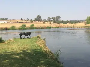 Walkhaven Dog Park