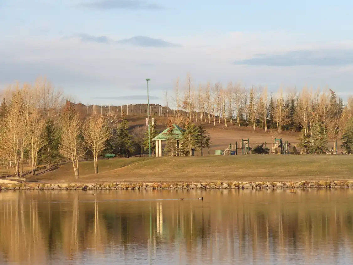 Hotels near Elliston Park
