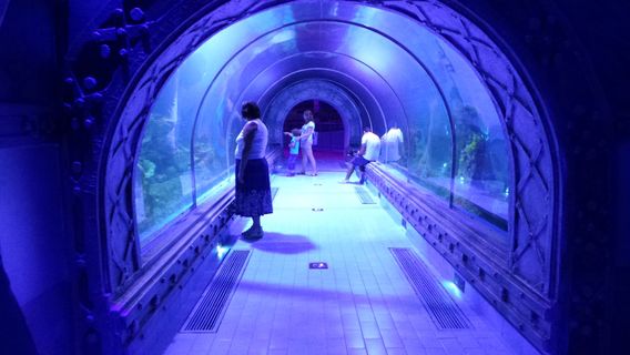 Hurghada Grand Aquarium