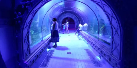 古爾代蓋水族館