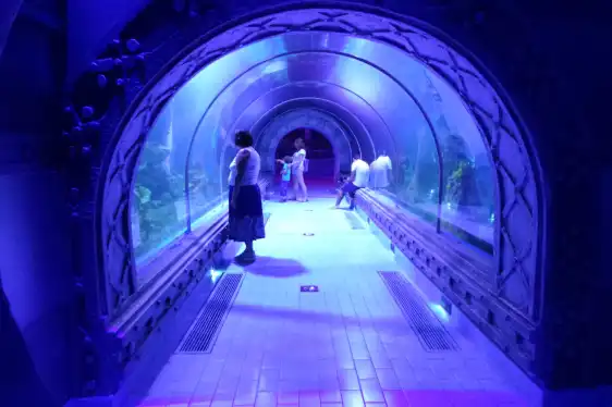 鄰近古爾代蓋水族館的酒店