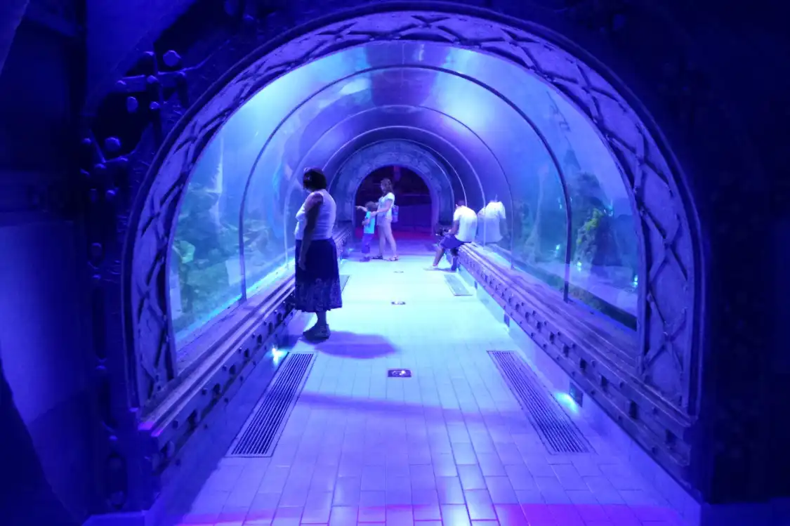 Hotels near Hurghada Grand Aquarium
