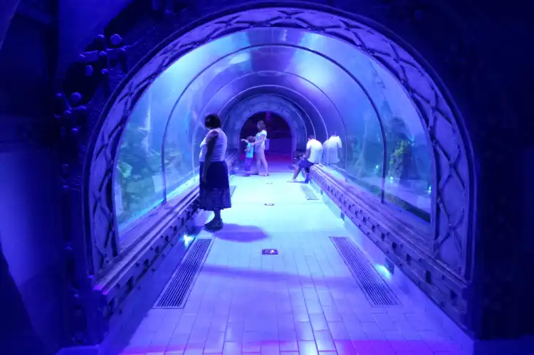 Hotel dekat Hurghada Grand Aquarium