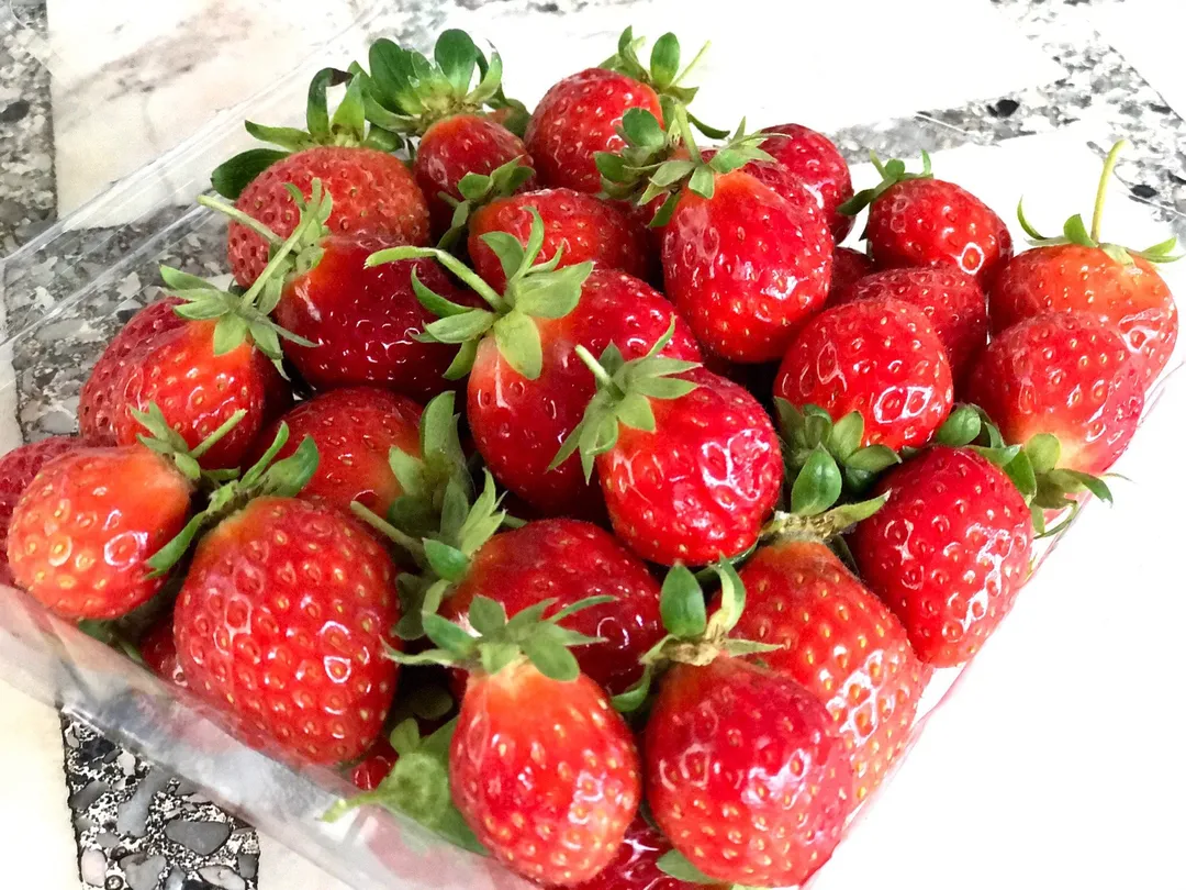 5_Healthy Strawberry Farm, Brinchang, Pahang.