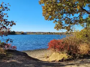 Bluff Point State Park
