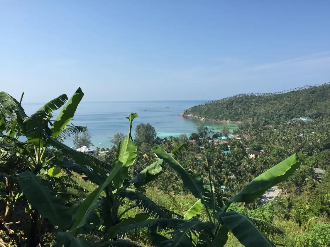 Hotels near Salad Beach