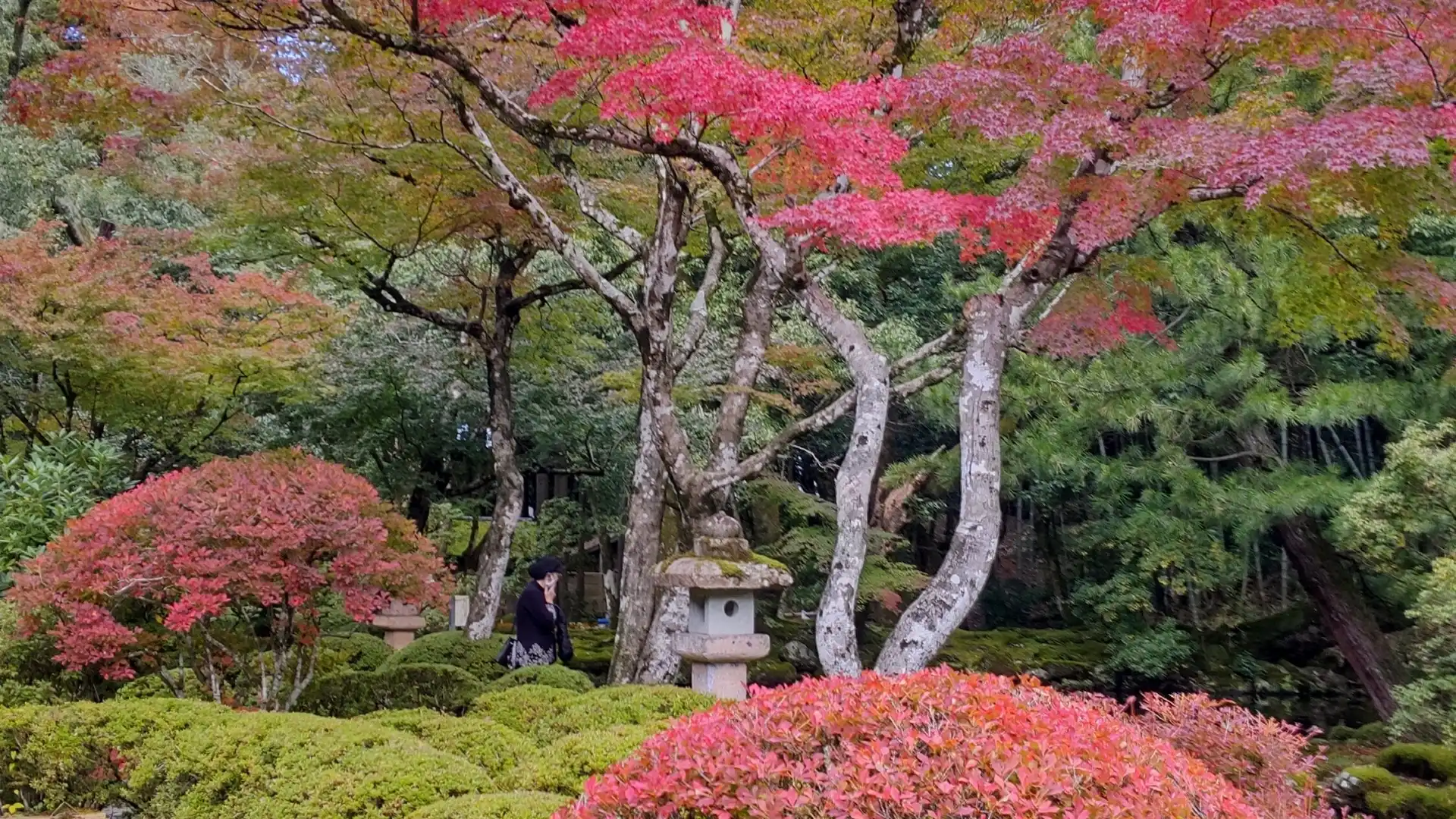 Hotels near Natadera