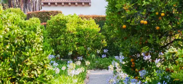 Hotels in Montecito
