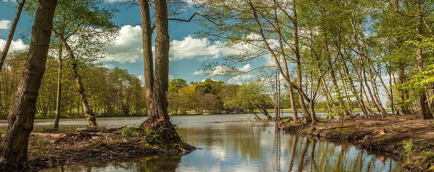 Tilgate Park