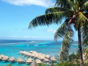 Tiki Village
