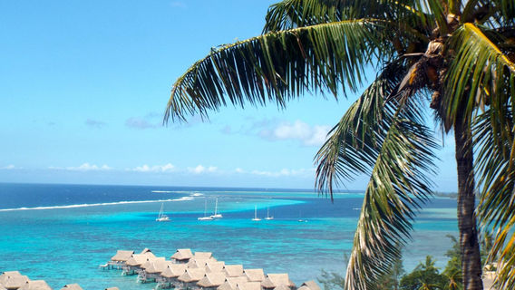 Moorea
