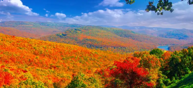 克勞福德縣酒店