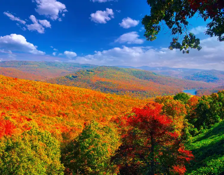 فنادق في Crawford County