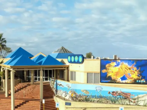 The Aquarium Of Western Australia
