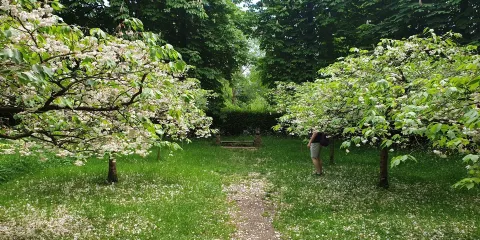 Whipsnade Tree Cathedral