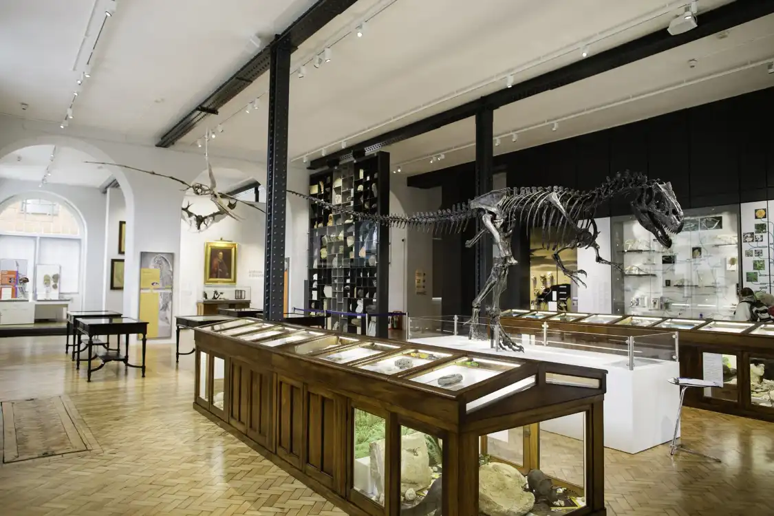 Hotel in zona Lapworth Museum of Geology