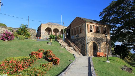 Talparo