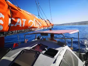 Grand Bleu - Sorties en mer