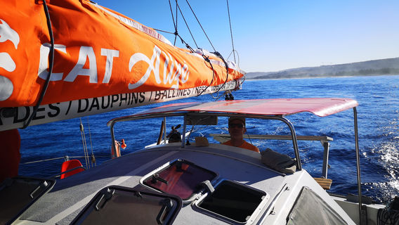 Grand Bleu - Sorties en mer