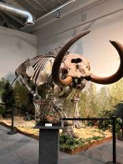 Brevard Museum of History and Natural Science