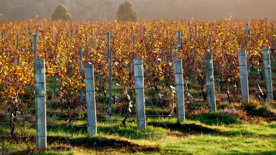 Margaret River