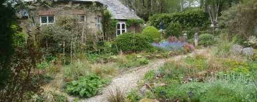 Pinsla Garden and Nursery