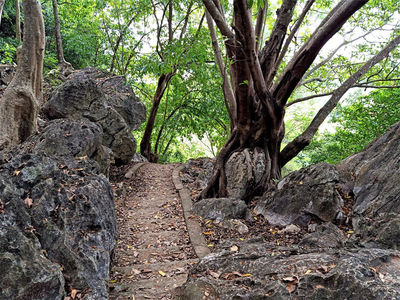 Phnom Chhngok Cave