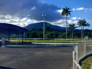 Fun City