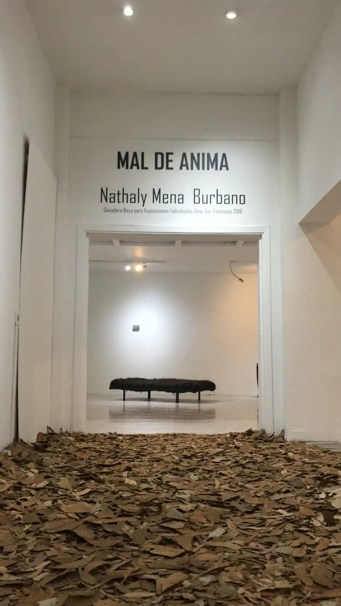 Hotels near Museo de Arte del Tolima