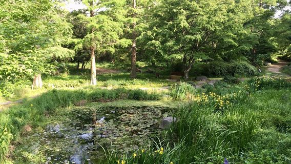 Kicheongsan Botanical Gardens