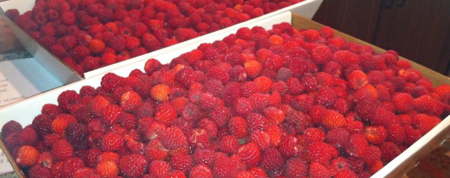 Champaign Berry Farm