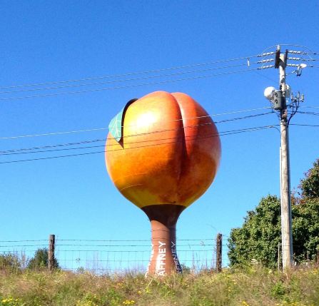 Peachoid