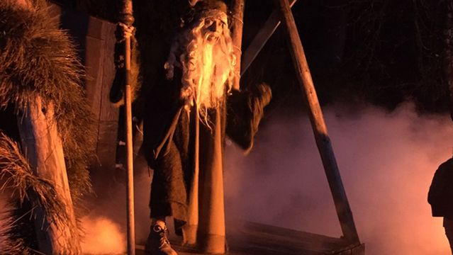 El Bosque del Ciclo Verde