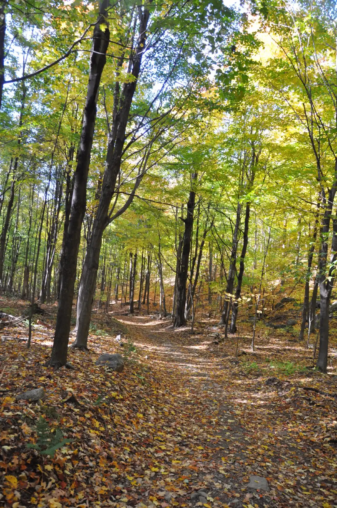Hotels in der Nähe von Parc des Montagnards, Stationnement P1
