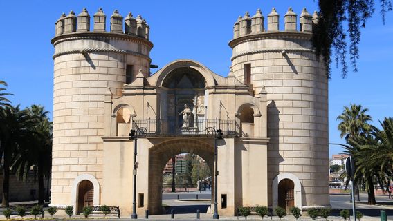 Puente de Palmas