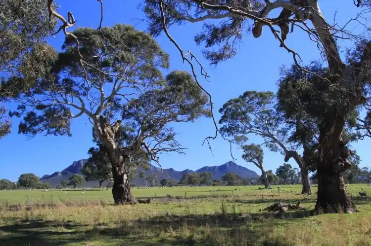 Hotels in Dunkeld