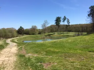 Golf Vichy Forest of Montpensier