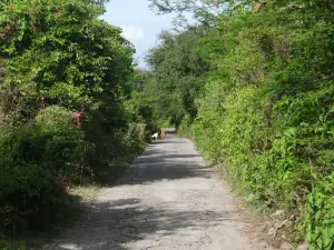 Miriam C. Schmid Botanical Garden