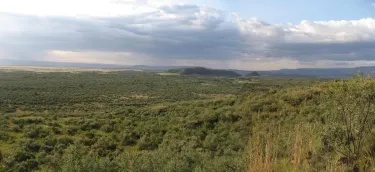 Gilgil