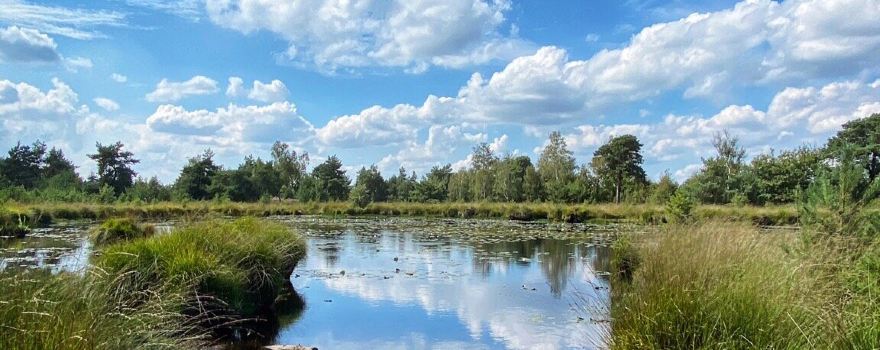 Kampina