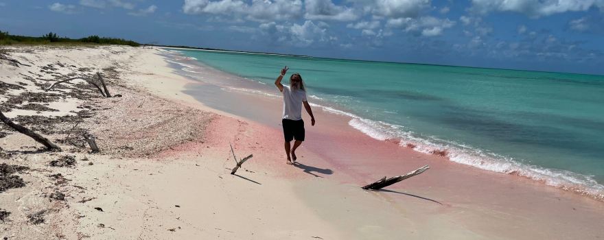 Pink Sand Beach