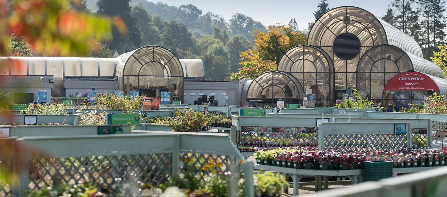 5_Hayes Garden Centre