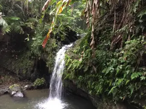 Juan Diego Falls
